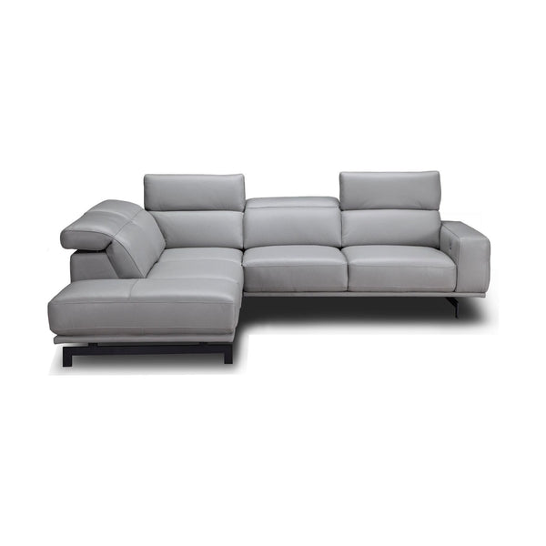 Davenport Light Grey Sectional in Left Facing jnmfurniture Sectionals 17981-LHFC